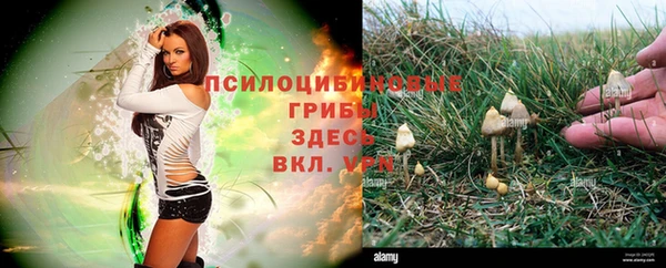spice Надым